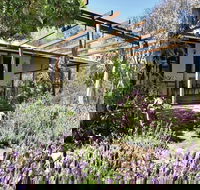 Capertee Homestead - 'Port Macquarie' - Accommodation 4U