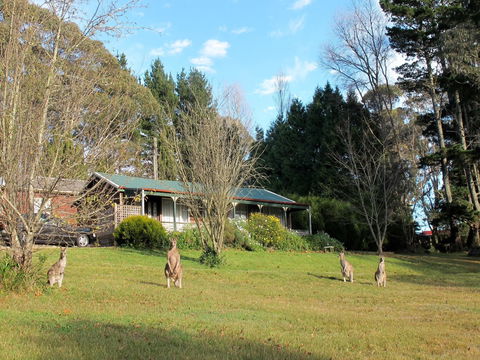Cedar Lodge Cabins - Accommodation 4U 0