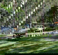 Chaelundi campground - Accommodation 4U