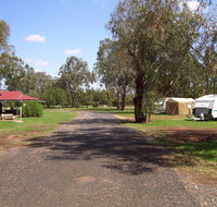 Dunedoo Caravan Park - Accommodation 4U