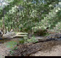 Eungella National Park camping - Accommodation 4U