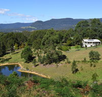 Golden Wattle - Kiaroo - Accommodation 4U
