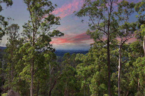 Gold Coast Tree Houses - Accommodation 4U 2