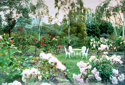 Kingbilli - Accommodation 4U 4