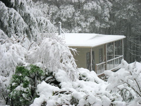 Lyrebird Cottages - Accommodation 4U 2