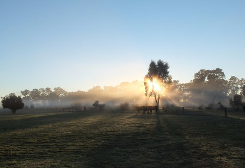 Mackereth's Hedon Farm - Accommodation 4U 1