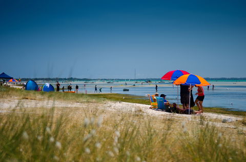 Rosebud Foreshore Camping - Accommodation 4U 0