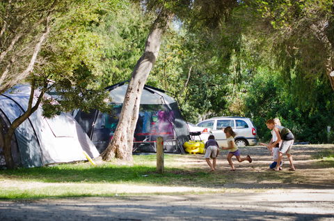 Rosebud Foreshore Camping - Accommodation 4U 2