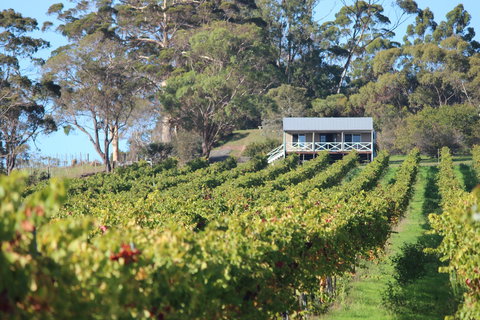 The Sleeping Lady Private Retreat - Accommodation 4U 1