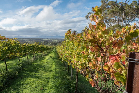 The Sleeping Lady Private Retreat - Accommodation 4U 2