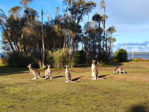 Waterfront Retreat At Wattle Point - Accommodation 4U 2
