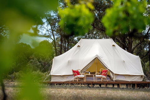 Balgownie Estate Winery Glamping & Accommodation - Accommodation 4U 0