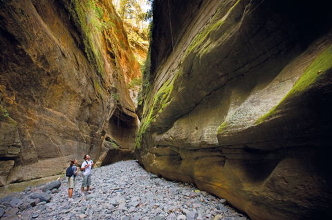 Carnarvon National Park Camping - Accommodation 4U 0