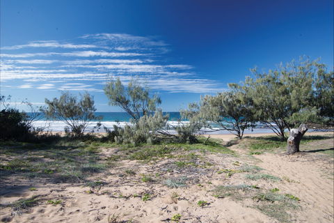 Deepwater National Park Camping - Accommodation 4U 0