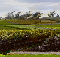 Estate Tuscany - Accommodation 4U