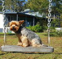 Finchley Bed and Breakfast Pet Friendly - Accommodation 4U