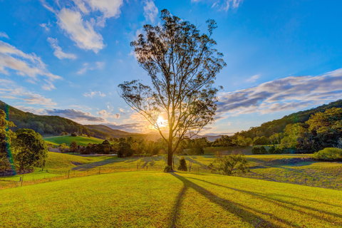 Friday Creek Retreat - Accommodation 4U 2