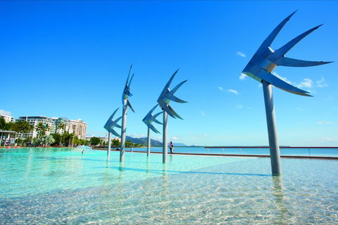 NRMA Cairns Holiday Park - Accommodation 4U 1