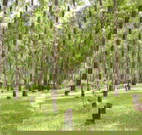 Nymboida River campground - Accommodation 4U