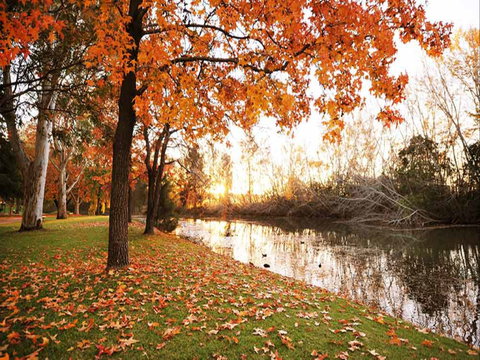 Reflections Holiday Park Cudgegong River - Temporarily Closed - Accommodation 4U 1