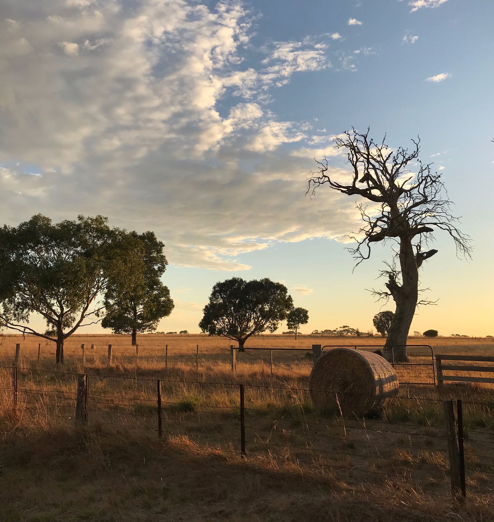 Stonehaven VIC Accommodation 4U