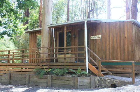 Tarra Valley Caravan Park - Accommodation 4U 1
