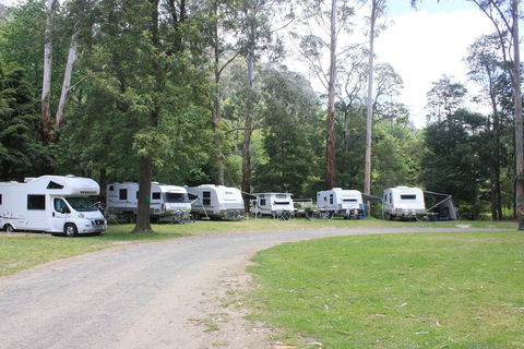 Tarra Valley Caravan Park - Accommodation 4U 2