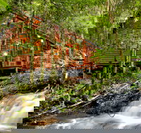 The Mouses House - Rainforest Retreat - Accommodation 4U