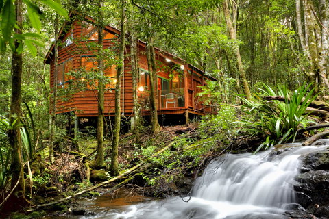 The Mouses House - Rainforest Retreat - Accommodation 4U 0