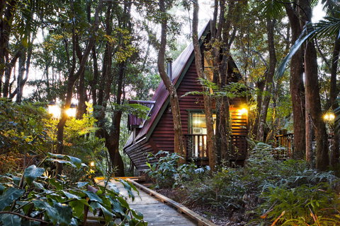 The Mouses House - Rainforest Retreat - Accommodation 4U 2