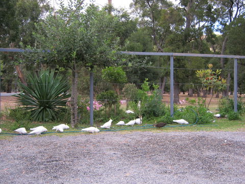 Tim's Place - Accommodation 4U 1