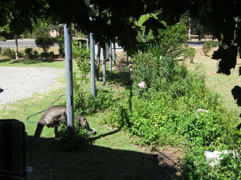 Tim's Place - Accommodation 4U 2