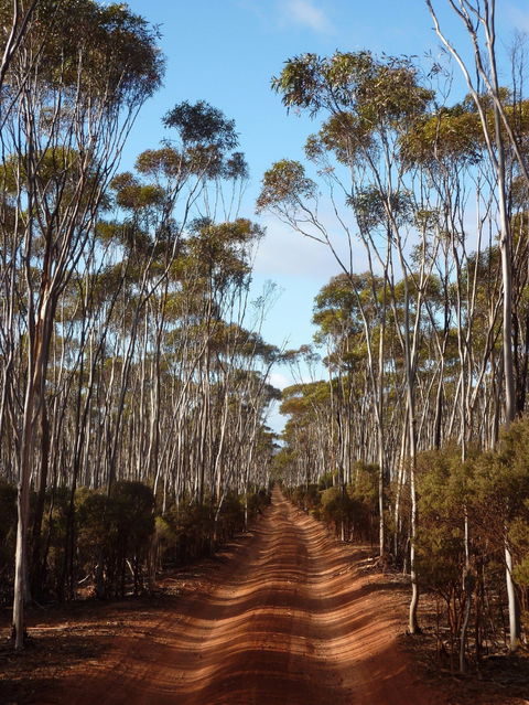 Victoria Rock Camp At Goldfields Woodlands National Park - Accommodation 4U 0
