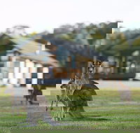 Yering Gorge Cottages - Accommodation 4U