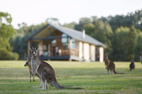 Yering Gorge Cottages - Accommodation 4U 0