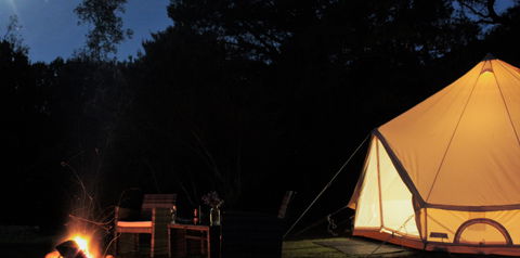 Zeehan Bush Camp - Accommodation 4U 1