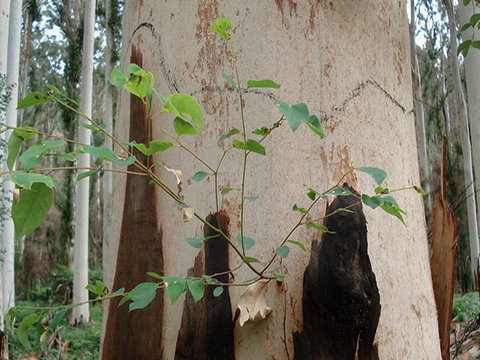 Acacia Flat Campground - Accommodation 4U 1