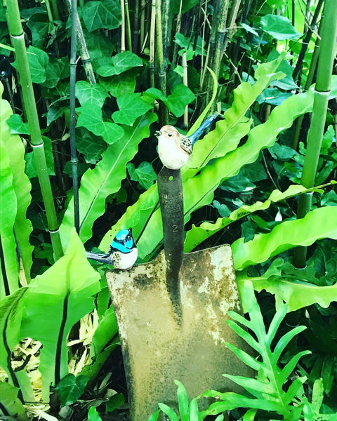 Aldgate Valley Bed And Breakfast - Accommodation 4U 2