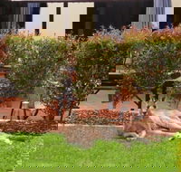 Alpha Canberra Hotel - Accommodation 4U
