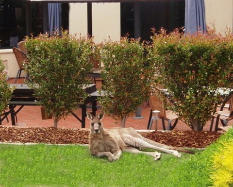 Alpha Canberra Hotel - Accommodation 4U 0