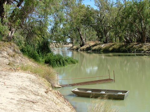 Avoca-on-Darling Hospitality - Accommodation 4U 2