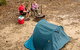 Bald Rock Campground And Picnic Area - thumb 0