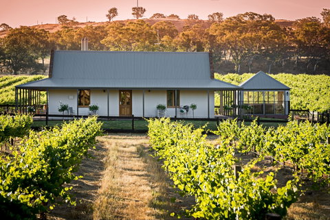 Brockenchack Vineyard Luxury Bed & Breakfast - Accommodation 4U 0