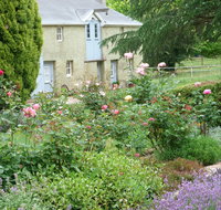 Godolphin Country Accommodation - Accommodation 4U