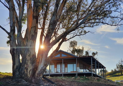 Kestrel Nest EcoHut - Accommodation 4U 0