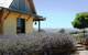 MillDuck StrawBale B&B - thumb 0