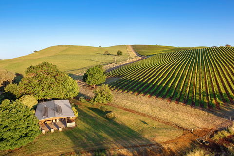 Mt Bellevue - King Valley - Accommodation 4U 0
