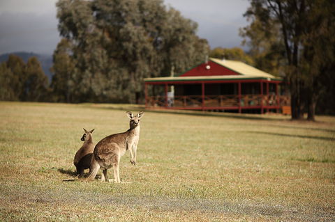 The Pokolbin Cabins - Accommodation 4U 0