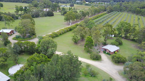 Twin Trees - Accommodation 4U 1