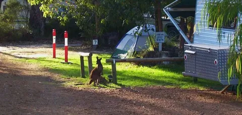 Aroundtu-It Eco Caravan Park - Accommodation 4U 5